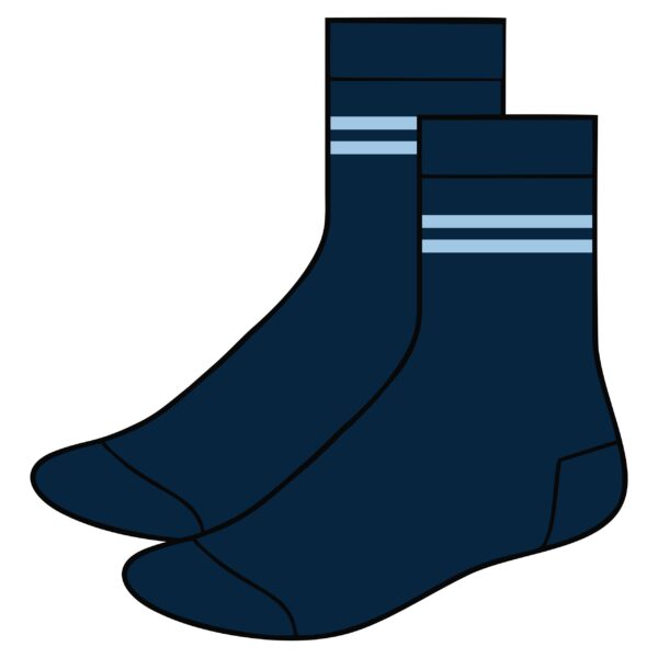 Navy Short Socks with Blue Stripes